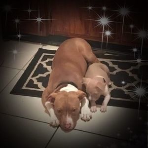 Meet your Posher, Keith